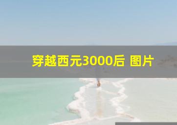 穿越西元3000后 图片